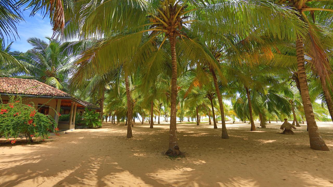 Hotel Mangrove Tangalle